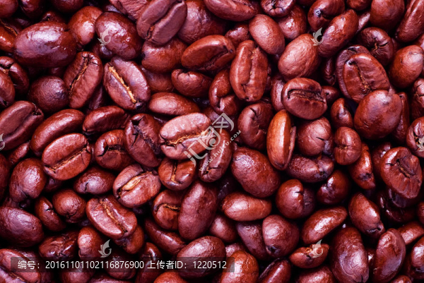 咖啡豆-匯圖網(wǎng) www.fosd68.com 咖啡豆