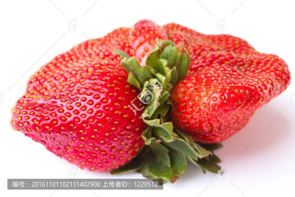 鮮紅色的草莓特寫