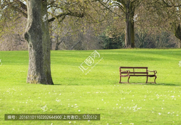 公園里的長(zhǎng)凳