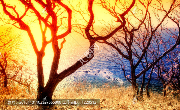 夕陽無限好