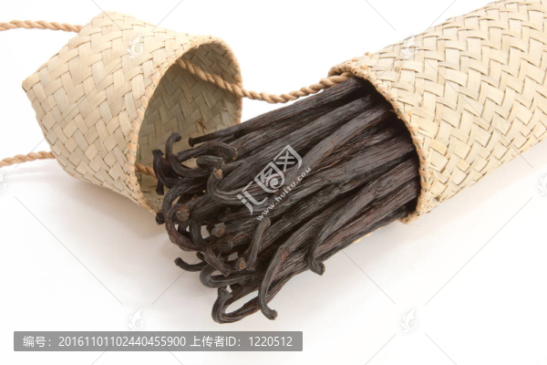啟動(dòng)香草
