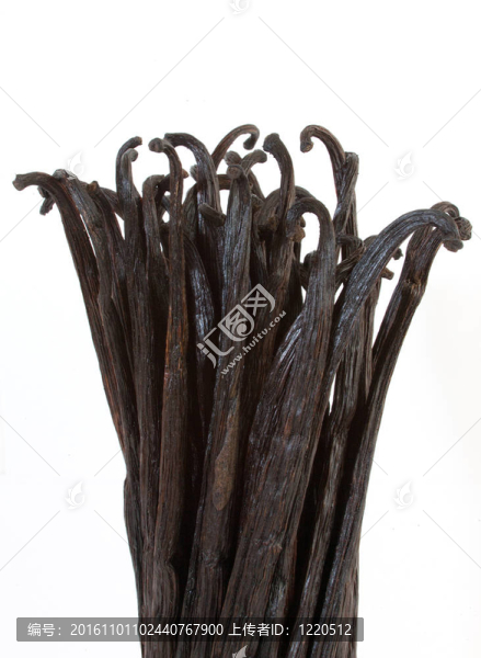 啟動(dòng)香草