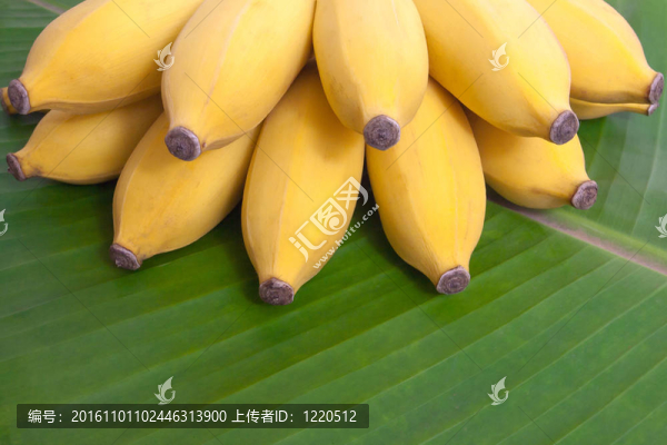 一串香蕉