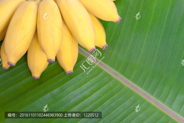 一串香蕉