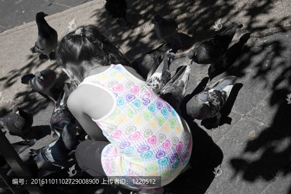 在公園里喂鴿子的女孩