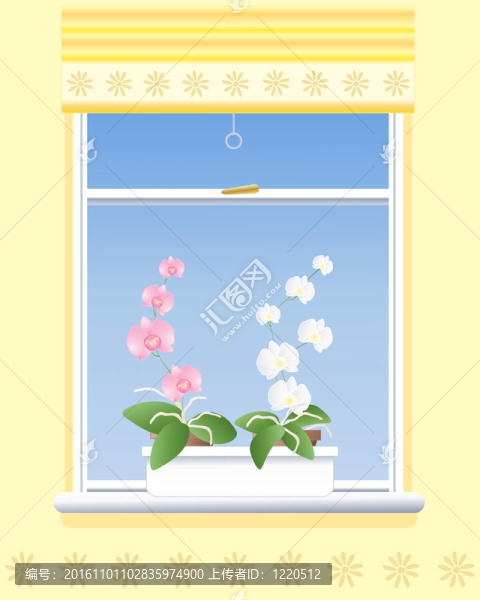蘭花的窗臺(tái)上