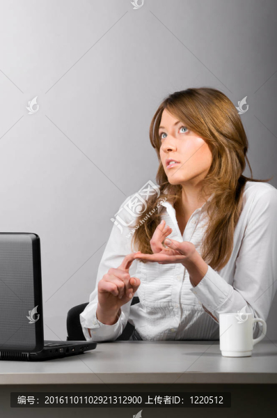 女企業(yè)家