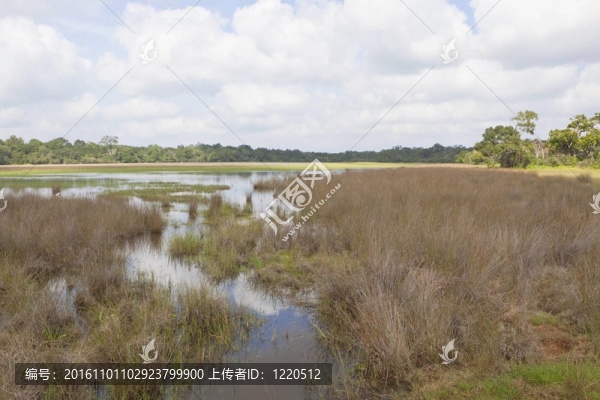 維勒珀圖國家公園景觀