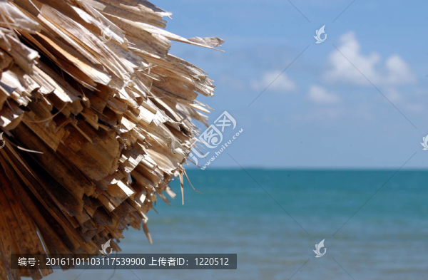 伯利茲；珀拉什奇亞