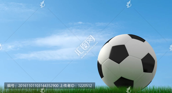 草地上的古典足球