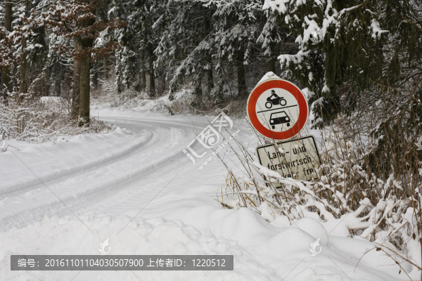 冬天的雪亂