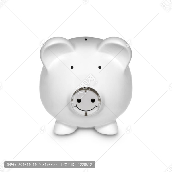 帶電插頭的小豬
