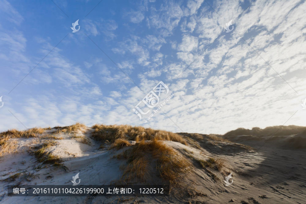 丹麥北海沿岸的沙丘