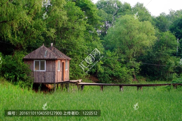 蘆葦和房子