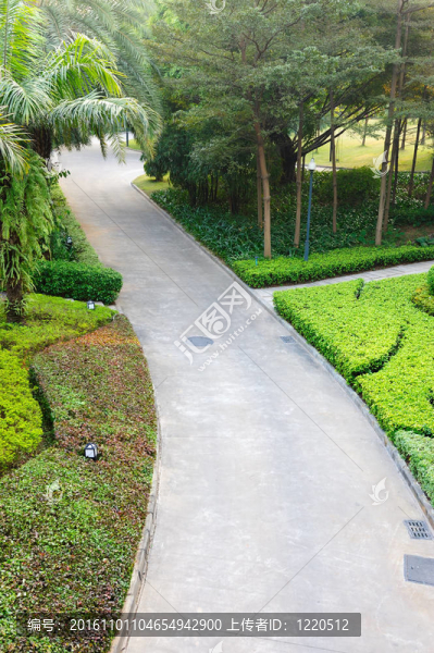 路在花園