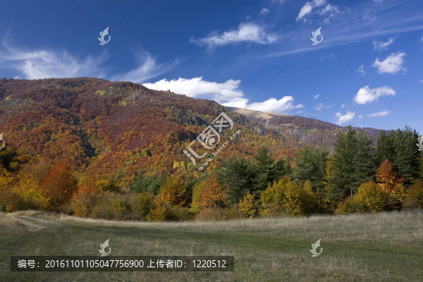七彩陽光秋季森林景觀優(yōu)美