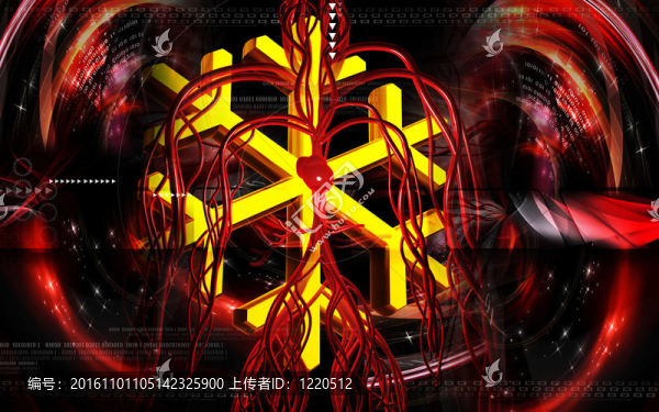 血管系統(tǒng)