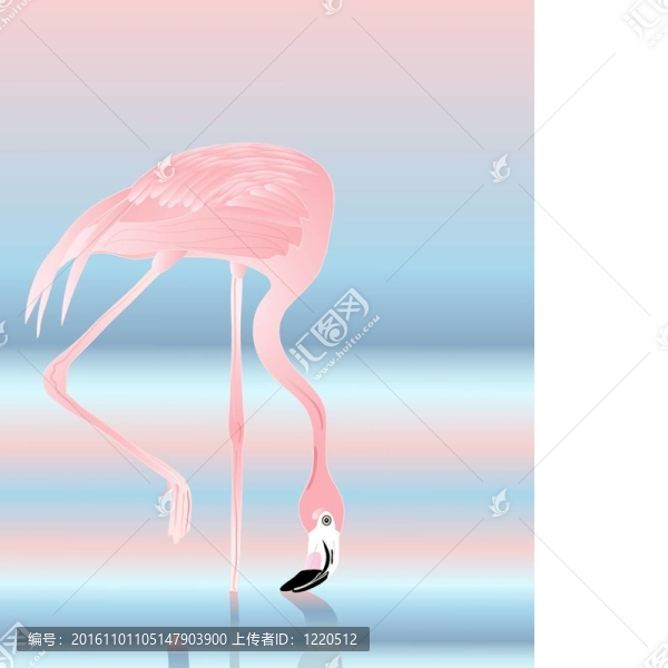 火烈鳥