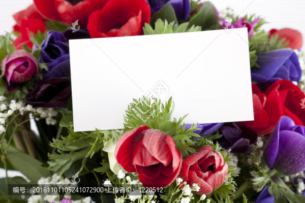 一束鮮花