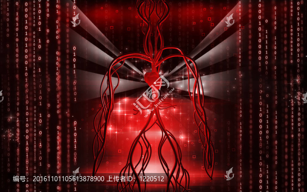 血管系統(tǒng)