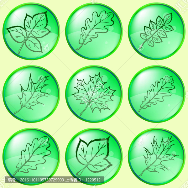 植物葉；紐扣；設(shè)置1