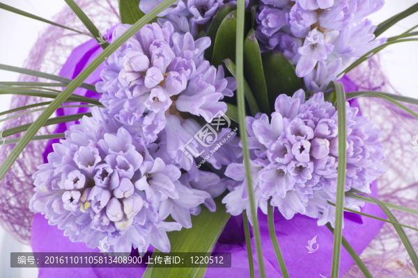 美麗的花束