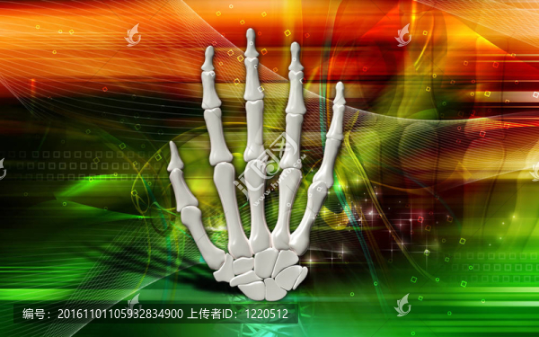 手骨