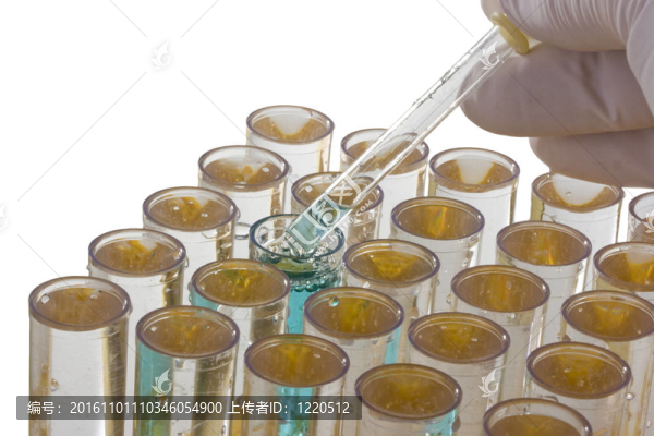 研究