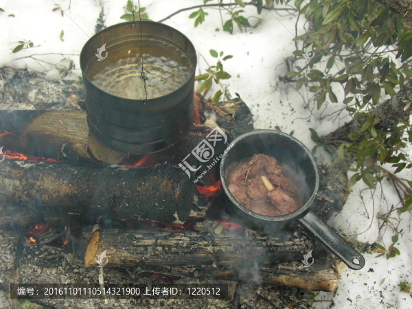 野炊