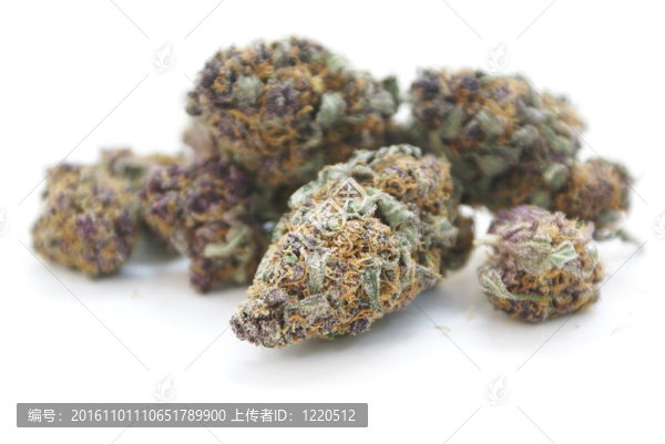 醫(yī)用大麻