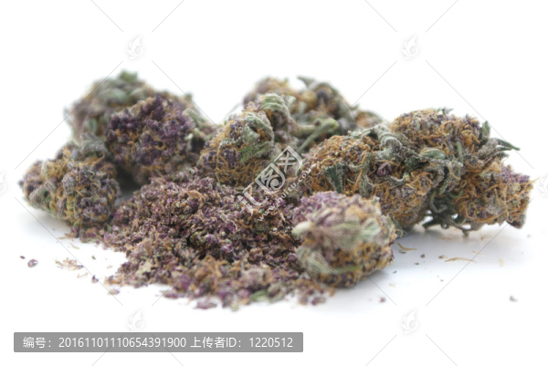醫(yī)用大麻