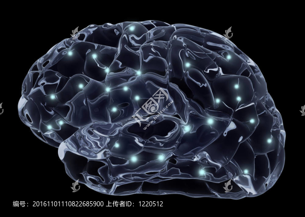 人的大腦和神經元