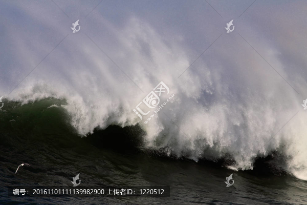大波浪