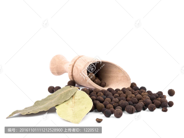 果漿果和月桂樹葉