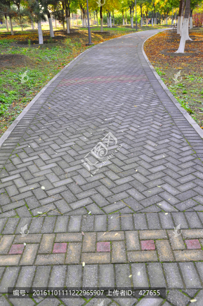 青磚路面