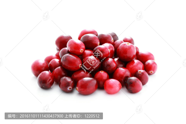 小紅莓
