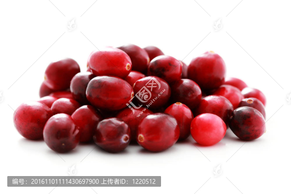 小紅莓