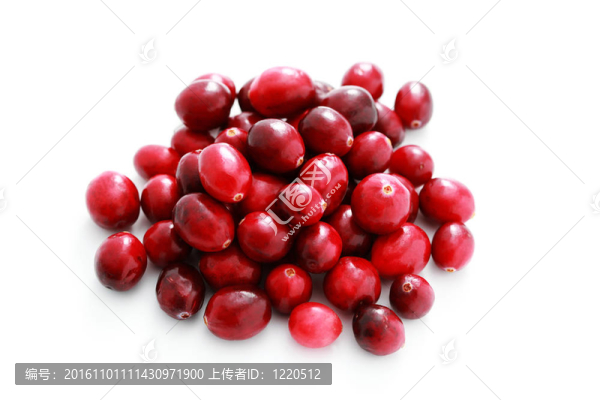 小紅莓
