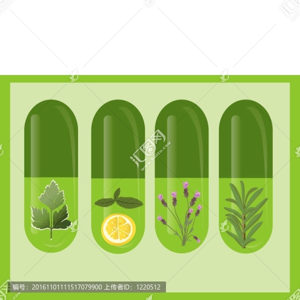 向量的草藥