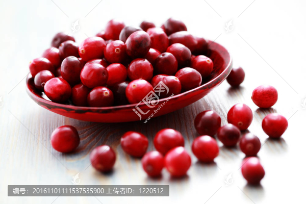 小紅莓
