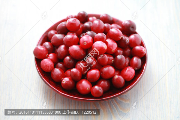 小紅莓