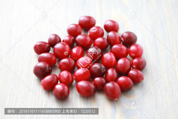 小紅莓