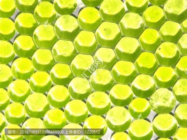 水膠