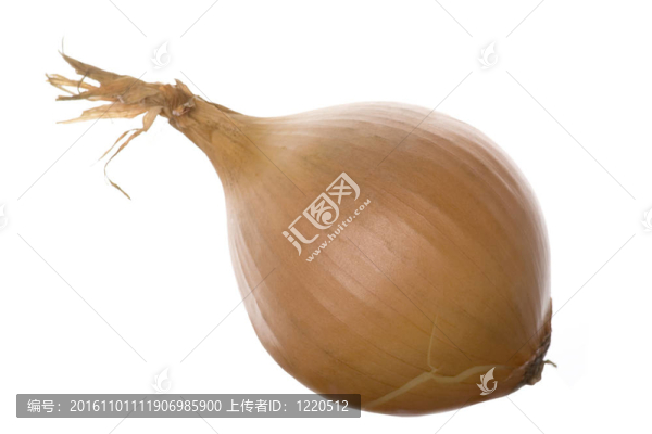 洋蔥
