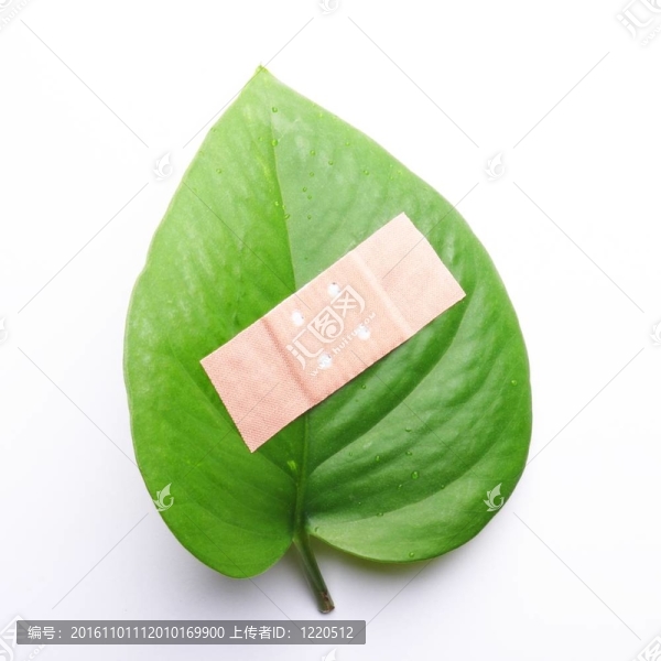 生態(tài)學(xué)的概念