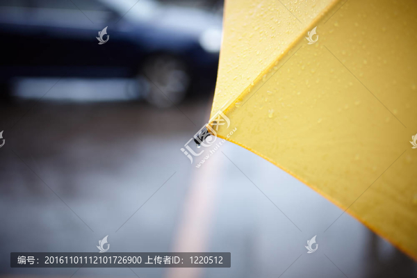 雨