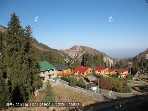 山；天空；樹(shù)木