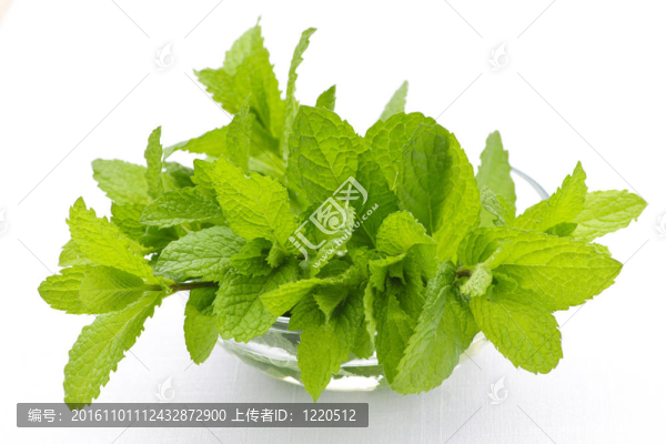 薄荷的碗