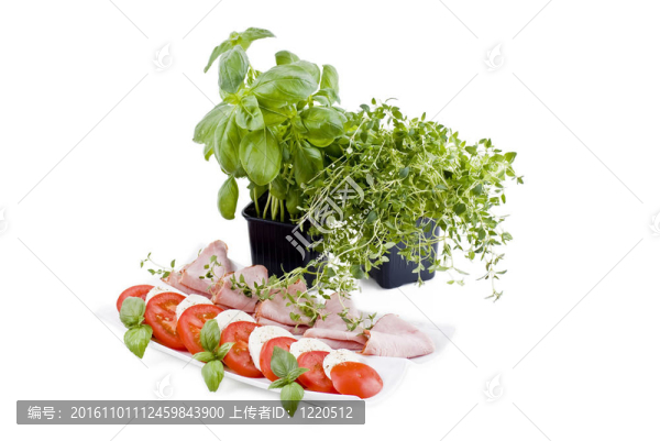 番茄；mmozzarella火腿