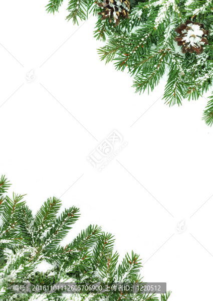 雪和錐體的圣誕框架